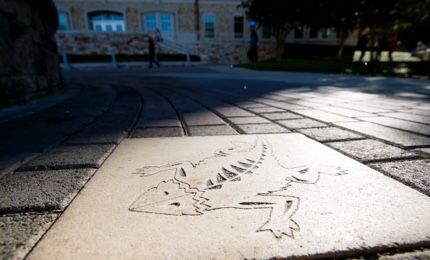 Large concrete paver featuring the TCU Horned Frog logo