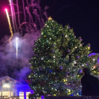 A large fresh tree is unveiled on the TCU campus with lights, crowds, revelers and fireworks