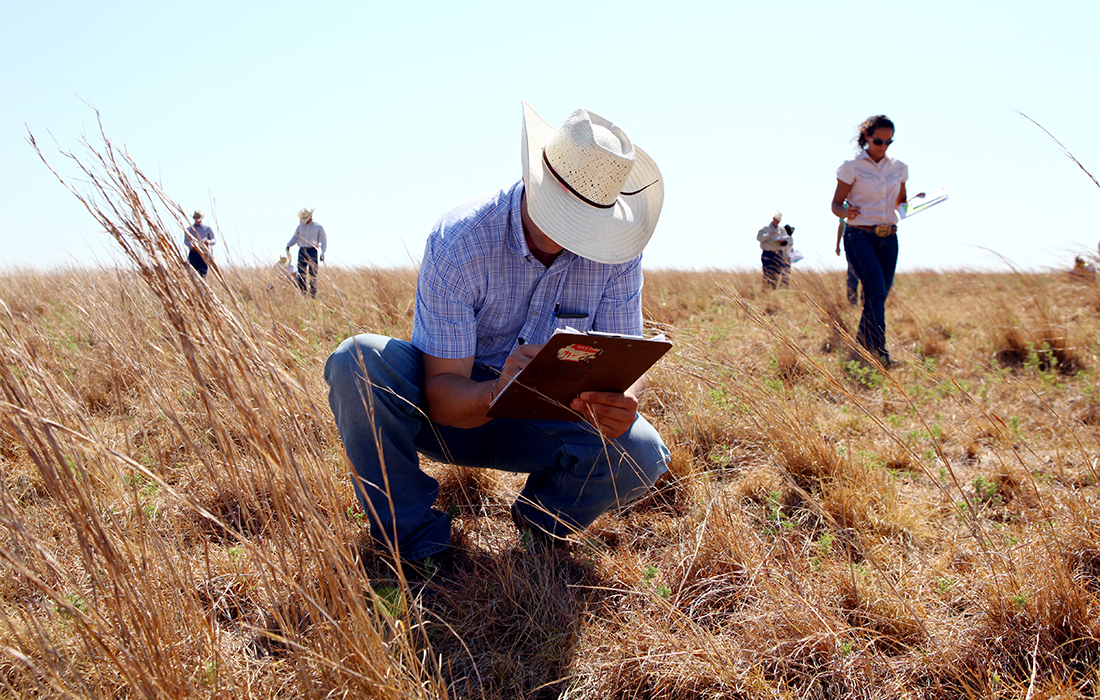 A Ranch Management student examines pasture grass while his classmates do the same in the background.