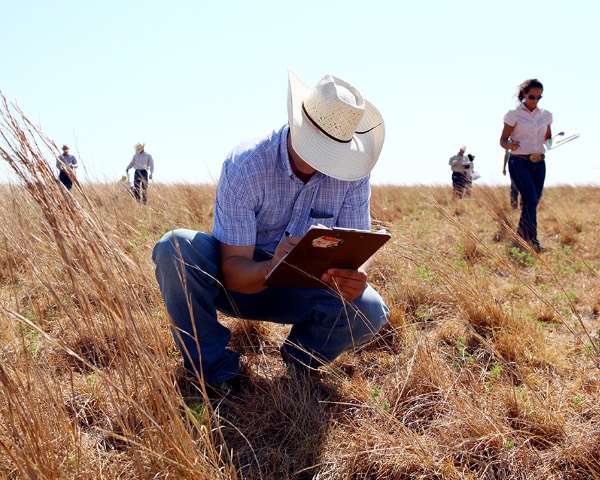 A Ranch Management student examines pasture grass while his classmates do the same in the background.