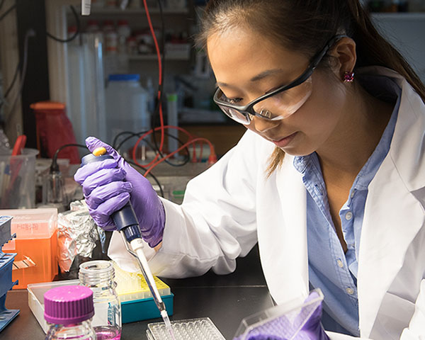 A biology student carefully places samples into a tray