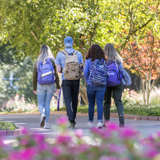 Four students walk past campus landscaping