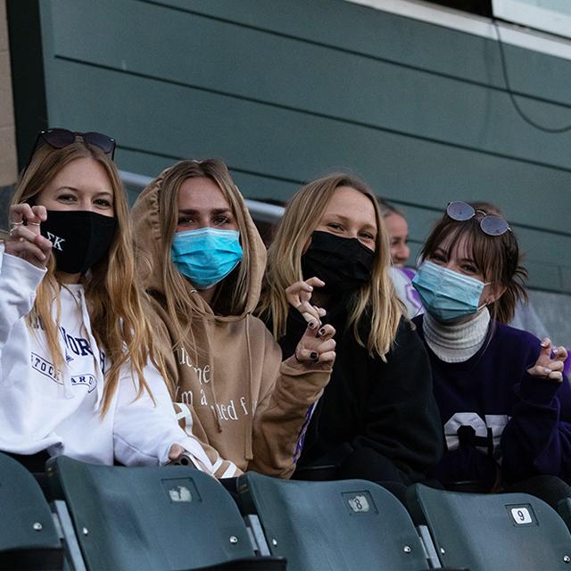 Baseball fans in stadium