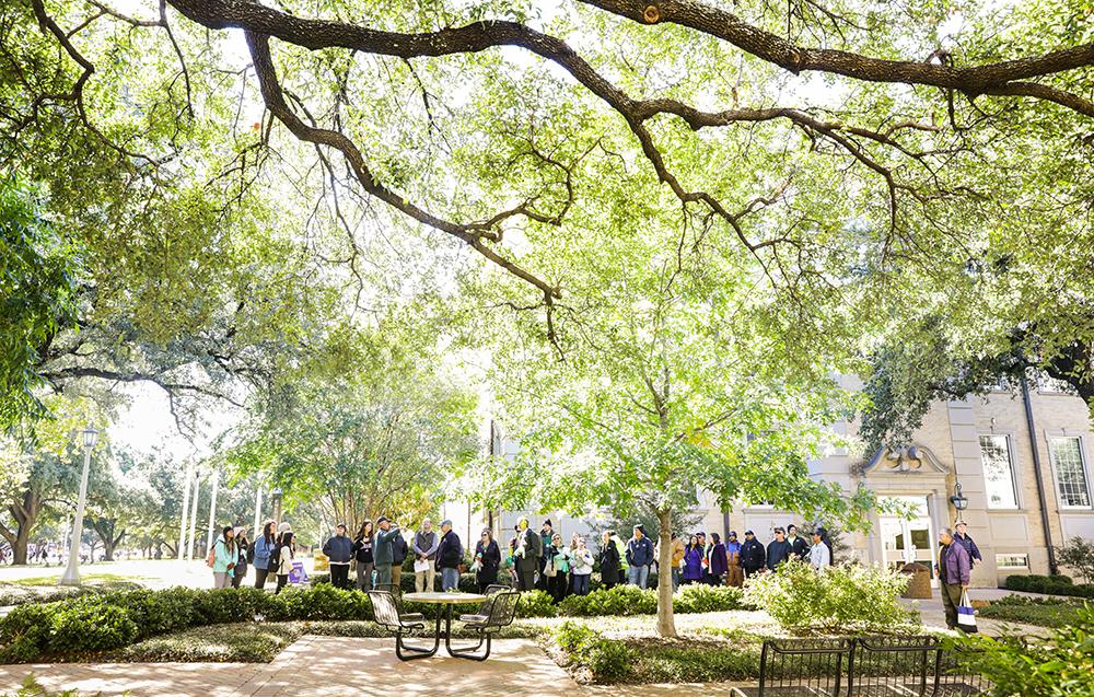 Arbor Day Foundation Certifies TCU as an Outstanding Tree Campus